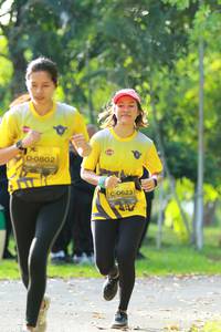 BIB: 0802, 0623, 
                            <button type="button" onclick="openModal(5129251)" class="btn btn-primary btn-sm float-right btn-popup" data-toggle="modal" data-target=".modal-high-quality">
                        <i class="fas fa-shopping-cart"></i> Add to Cart
                    </button>
                                            <button type="button" onclick="isThisMe(5129251, true)" class="btn btn-success btn-sm float-right btn-popup btn-isme hidden" data-toggle="tooltip" data-placement="bottom" title="นี่คือรูปของคุณใช่ไหม คลิกที่นี่เพื่อเอาเข้าอัลบั้ม">
                        <i class="fas fa-plus"></i> Add to album
                    </button>
                    <button type="button" onclick="isThisMe(5129251, false)" class="btn btn-warning btn-sm float-right btn-popup btn-isnotme hidden">
                        <i class="fas fa-ban"></i> Remove from album
                    </button>